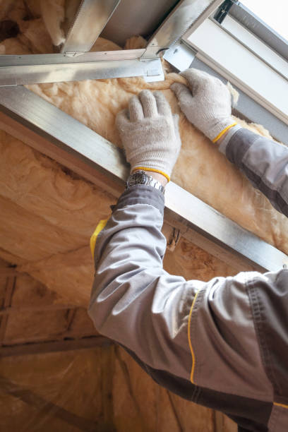 Best Insulation Replacement Services  in Chatham, IL