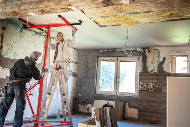Best Insulation Repair Services  in Chatham, IL