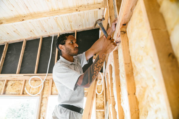 Best Wall Insulation Contractor  in Chatham, IL