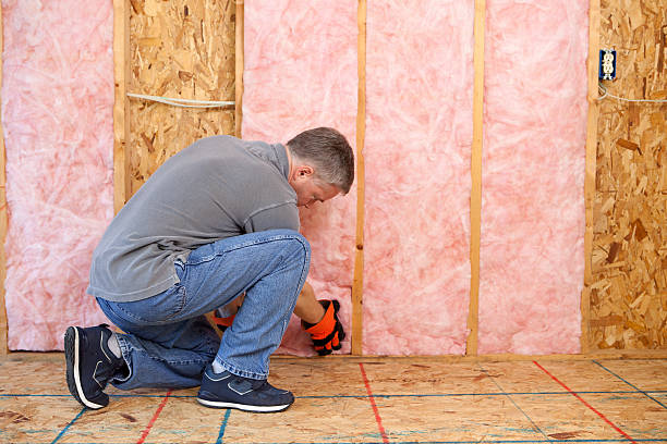 Best Cellulose Insulation  in Chatham, IL